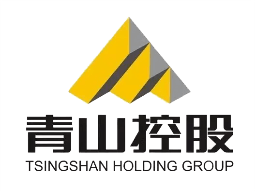 TSINGSHAN Holding Group Co., Ltd.